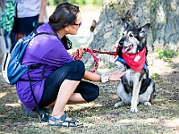 Adoptuj Warszawiaka  Wydarzenie promujące adopcję zwierząt. Organizator: Schronisko dla Bezdomnych Zwierząt "Na Paluchu". 18 sierpnia 2019, Park Raszyński w Raszynie. : park raszyński, adoptuj warszawiaka, na paluchu, schronisko dla zwierząt, centrum warszawy, raszyn